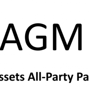APPG_AGM_LOGO