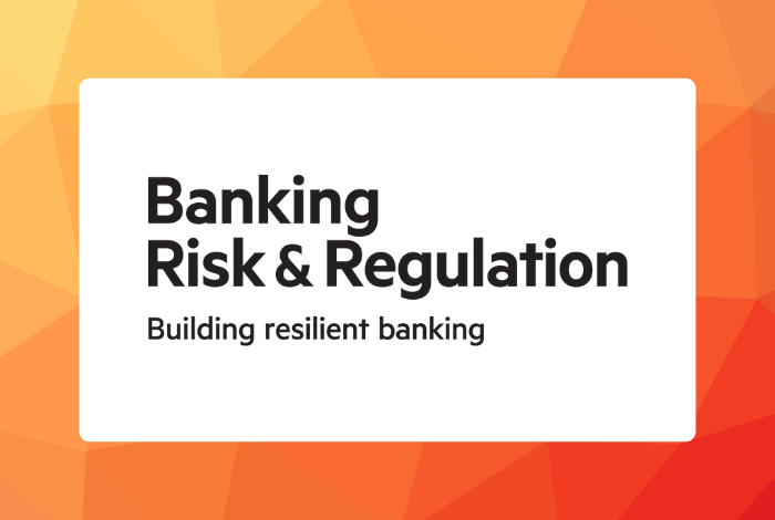 banking risk and regulation logo